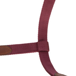 Reithalfter Knotenhalfter ARMA Porto – Shires | Equi-Clic