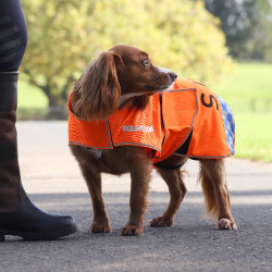 Reflex Mesh-Hundemantel für Sichtbarkeit – Reitzubehör