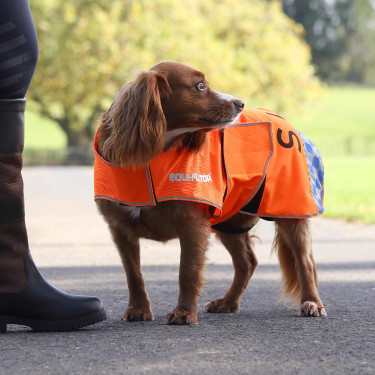 Reflex Mesh-Hundemantel für Sichtbarkeit – Reitzubehör