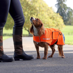 Reflex Mesh-Hundemantel für Sichtbarkeit – Reitzubehör