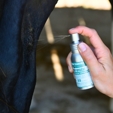 Natural’Innov reinigende Lotion Hygiene-Spray