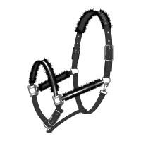 Mountain Horse Halfter