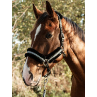 Mountain Horse Halfter