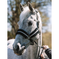 Mountain Horse Halfter
