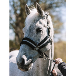 Mountain Horse Halfter