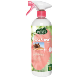 Einfach Shine Glanzspray Ravene Einfach Shine Glanzspray Ravene
