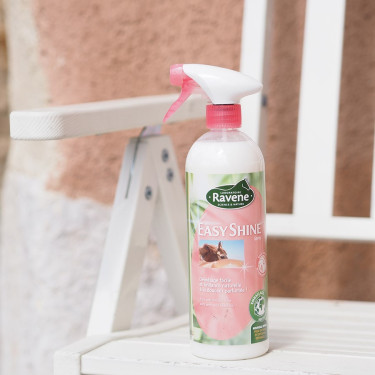 Einfach Shine Glanzspray Ravene Einfach Shine Glanzspray Ravene