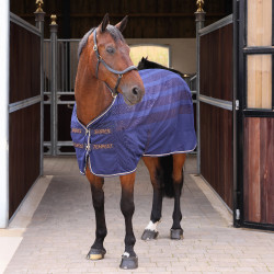 Abschwitzdecke fürs Pferd – Shires Tempest Netz, leicht & atmungsaktiv | equi-clic