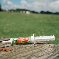 Nutrimax Booster Ravene