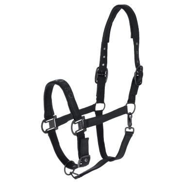 Covalliero Halfter HW26