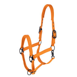 Covalliero Halfter HW26