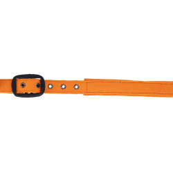 Covalliero Halfter HW26
