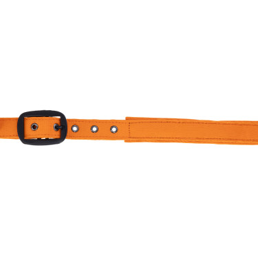 Covalliero Halfter HW26