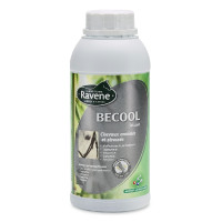 Becool Ravene