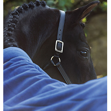 Fleece Abschwitzdecke für Pferde – Horseware Rambo