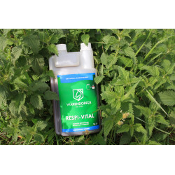 Respi-Vital WPB Gruppe