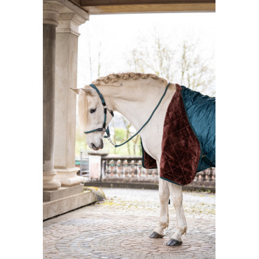 Stalldecke Winter II- HKM