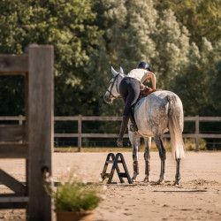 Klapptritt 60 cm für Stall & Reiten – Equi-Clic