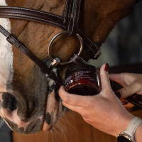 Pferde Maul- & Gebissbutter Mandel 125 ml – Reitsport