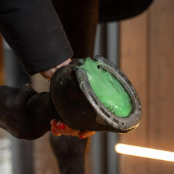 Epsomsalz für Pferde 600 g – Huf- & Muskelpflege | Equi-Clic
