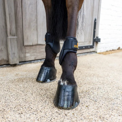 Streichkappen Young Horse Classic L braun – Reitsport