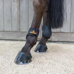 Streichkappen Young Horse Classic L braun – Reitsport