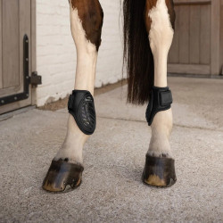 Gamaschen Jungpferd Pro braun L – Reitsport Schutz