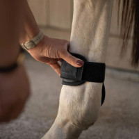 Gamaschen Jungpferd Pro braun L – Reitsport Schutz