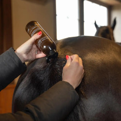 Pferde Mähne-Schweif Wachstumsserum 500 ml | Reitsport