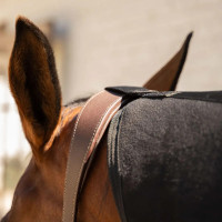 Abschwitzdecke Fleece mit Halsteil – Reitsport, Schwarz, 165 cm