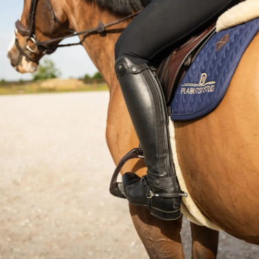Reitsporen Edelstahl mit Gummi, Rowel 30 mm – Velari | equi-clic