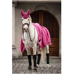 Fliegenhaube Manchester- HKM