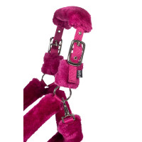 Halfter Comfort- HKM Halfter Comfort- HKM
