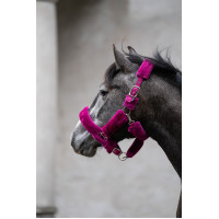 Halfter Comfort- HKM Halfter Comfort- HKM
