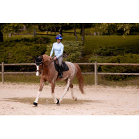 K by Equithème Fliegenhaube K-Vega