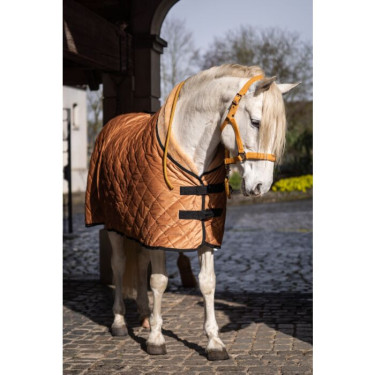 Stalldecke Montalcino- HKM