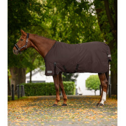 Pferdedecke wasserdicht Waldhausen Arctic Light – Reitsport