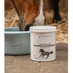 Pferdefutter: Waldhausen Gastro Balance für Magenruhe Pferdefutter: Waldhausen Gastro Balance für Magenruhe