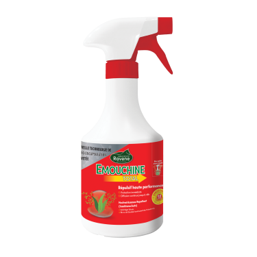 Emouchine Total Ravene Emouchine Total Ravene