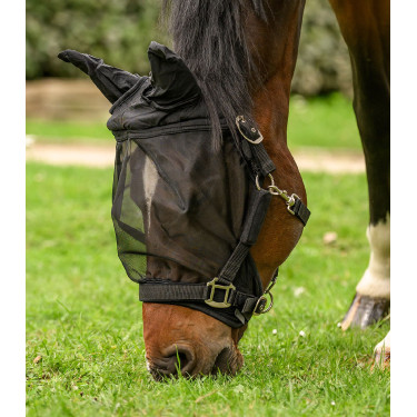 Fliegenmaske fürs Halfter mit Ohrenschutz – Reiten