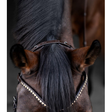 Waldhausen X-Line Relaxation Trense – anatomisch, Reiten