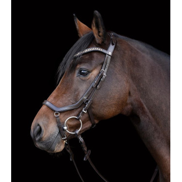 Waldhausen X-Line Relaxation Trense – anatomisch, Reiten