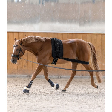 Körperbandage Hinterhand fürs Pferd – Reitsport