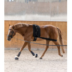 Körperbandage Hinterhand fürs Pferd – Reitsport