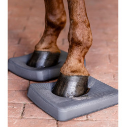 Balance-Einlagen fürs Pferd – Reha & Training | EQUI-CLIC