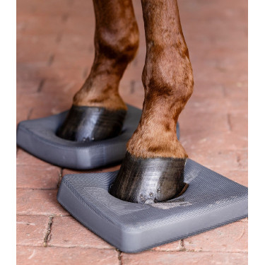 Balance-Einlagen fürs Pferd – Reha & Training | EQUI-CLIC