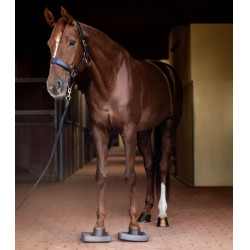 Balance-Einlagen fürs Pferd – Reha & Training | EQUI-CLIC
