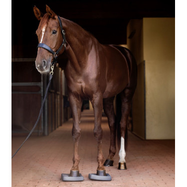 Balance-Einlagen fürs Pferd – Reha & Training | EQUI-CLIC