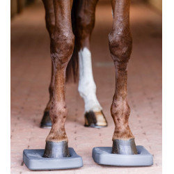 Balance-Einlagen fürs Pferd – Reha & Training | EQUI-CLIC
