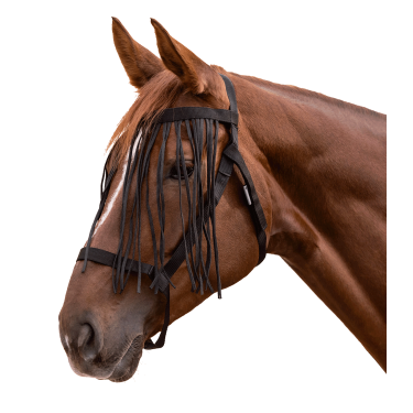 Weidehalfter mit Fliegenfransen – Reitsport | EQUI-CLIC